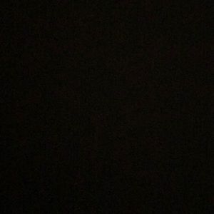 Meet your Posher, Shantel